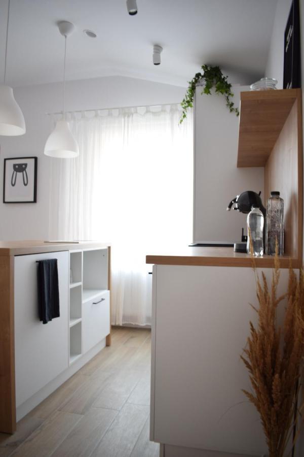 Voya Nordic Apartment-A Luxury Oasis In The Old Town Μπρασόβ Εξωτερικό φωτογραφία